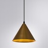 Миниатюра фото подвесной светильник arte lamp david a7033sp-1bk | 220svet.ru