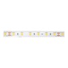 Миниатюра фото влагозащищенная лента designled 14,4w/m 60led/m 5050smd нейтральный белый 5m 002378 | 220svet.ru