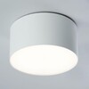 Миниатюра фото потолочный светодиодный светильник feron simple matte al200 48074 | 220svet.ru