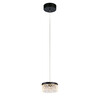 Миниатюра фото подвесной светильник md21020075-1a matt black delight collection | 220svet.ru