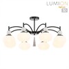 Миниатюра фото потолочная люстра lumion gloriya 8273/8c серый | 220svet.ru
