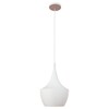 Миниатюра фото подвесной светильник loft it beat loft1844/b | 220svet.ru