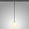 Миниатюра фото трековый однофазный светильник 24v 6w 180° 3000k lightstar linea 206837 | 220svet.ru