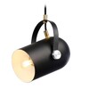 Миниатюра фото подвесной светильник ambrella light traditional tr8206 | 220svet.ru