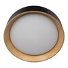 Миниатюра фото потолочный светильник loft it coin 10202 black | 220svet.ru