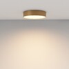 Миниатюра фото потолочный светодиодный светильник maytoni zon c032cl-36w3k-rd-mg | 220svet.ru