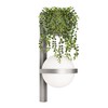 Миниатюра фото настенный светильник loft it jardin 10121w/b dark grey | 220svet.ru