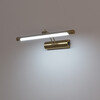 Миниатюра фото подсветка для картин lightstar noce 201111 | 220svet.ru