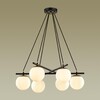 Миниатюра фото подвесная люстра lumion randi 5212/6 | 220svet.ru