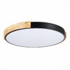 Миниатюра фото потолочный сетодиодный светильник evoluce delia sle201342-01 | 220svet.ru