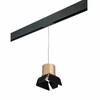 Миниатюра фото трековый однофазный светильник lightstar rullo (213490+595887+202487)prorp3490487 | 220svet.ru
