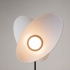 Миниатюра фото торшер maytoni evolution mod396fl-l10w3k | 220svet.ru