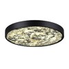 Миниатюра фото настенно-потолочный светильник odeon light bergi 5064/40l черный | 220svet.ru