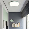 Миниатюра фото потолочный светодиодный светильник imperium loft disc 193124-26 | 220svet.ru