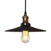 Миниатюра фото подвесной светильник loft it factory filament loft1102 | 220svet.ru