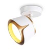 Миниатюра фото спот ambrella light techno spot techno family tn71224 | 220svet.ru