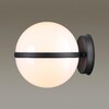 Миниатюра фото уличный настенный светильник odeon light lomeo 4832/1w | 220svet.ru