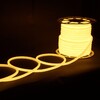 Миниатюра фото гибкий неон elektrostandard 9,6w/m 144led/m 2835smd теплый белый 50m a052998 | 220svet.ru
