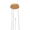 Миниатюра фото подвесной светильник loft it ring 10017/3m | 220svet.ru