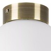 Миниатюра фото настенно-потолочный светильник lightstar globo 812011 | 220svet.ru