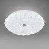 Миниатюра фото настенно-потолочный светильник с пультом ду lightstar  arco shell 225650 | 220svet.ru