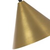 Миниатюра фото подвесной светильник arte lamp david a7033sp-1bk | 220svet.ru