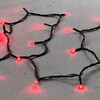Миниатюра фото гирлянда нить 10м красная 24в, 100 led, провод черный пвх, ip54 ltc pst100-11-1r | 220svet.ru
