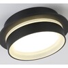 Миниатюра фото потолочный светильник ambrella light tn5385 | 220svet.ru