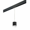 Миниатюра фото трековый однофазный светильник lightstar rullo (213487+595887+203486)prorp34873486 | 220svet.ru