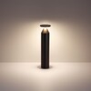 Миниатюра фото ландшафтный светильник odeon light coil 7119/12gl черный | 220svet.ru