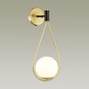 Миниатюра фото бра odeon light flari 4810/1w | 220svet.ru
