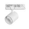 Миниатюра фото трековый трехфазный светильник lightstar alta base a5446qt36g | 220svet.ru