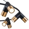 Миниатюра фото подвесная люстра indigo doppio 11036/12p black v000455 | 220svet.ru