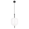 Миниатюра фото подвесной светильник loft it venice 10223/d white | 220svet.ru