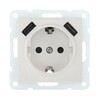 Миниатюра фото розетка lk studio с з/к + 2хusb разъема, 2а (белый) lk60 868004-1 | 220svet.ru