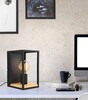 Миниатюра фото настенный светильник eglo libertad 99796 | 220svet.ru