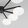 Миниатюра фото потолочная люстра eurosvet 70220/8 черный | 220svet.ru