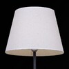 Миниатюра фото торшер reluce 01930-2.6-01 bk | 220svet.ru