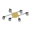 Миниатюра фото потолочный светильник lumion benua 8304/6c золотой | 220svet.ru