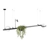 Миниатюра фото подвесной светильник loft it jardin 10121/c | 220svet.ru