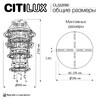 Миниатюра фото подвесная светодиодная каскадная люстра с пультом ду citilux etera cl322090 | 220svet.ru