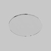Миниатюра фото стекло для пылевлагозащиты к светильнику maytoni dip glass001-d45 | 220svet.ru