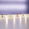 Миниатюра фото светодиодная лента maytoni technical 4,8w/m теплый белый 5m 20007 | 220svet.ru