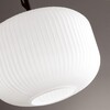 Миниатюра фото подвесной светильник odeon light roofi 4754/1 | 220svet.ru