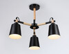Миниатюра фото потолочная люстра на штанге ambrella light traditional tr82206 | 220svet.ru