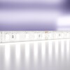 Миниатюра фото светодиодная лента maytoni led strip 24в 10153 | 220svet.ru