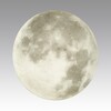Миниатюра фото настенно-потолочный светильник sonex moon 3084/cln белый | 220svet.ru