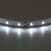 Миниатюра фото светодиодная лента 4.8вт/м 60led/m lightstar 400004 | 220svet.ru