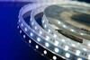 Миниатюра фото влагозащищенная лента designled 14,4w/m 60led/m 5050smd холодный белый 5m 000518 | 220svet.ru