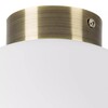 Миниатюра фото настенно-потолочный светильник lightstar globo 812031 | 220svet.ru
